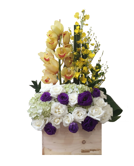 Chọn hoa phong lan