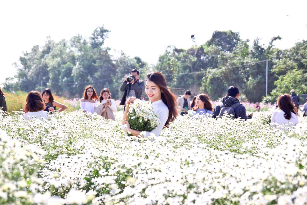 Vườn hoa tươi ở b&atilde;i đ&aacute; s&ocirc;ng hồng