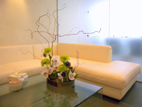 hoa trang tr&iacute; nh&agrave; cửa