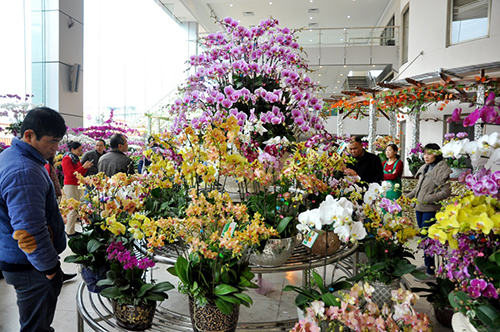 Công ty hoa tươi Điện hoa 24 giờ