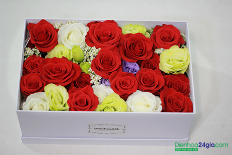 Tặng hoa hồng cho người bệnh