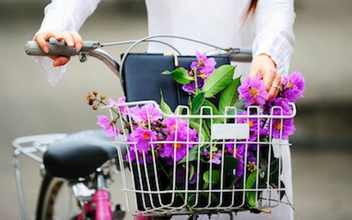 Hoa bằng lăng gắn với t&igrave;nh y&ecirc;u học tr&ograve;