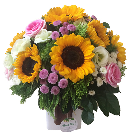 chất lượng của hoa