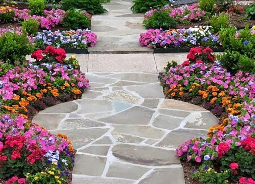 hoa trang tri tieu canh